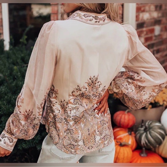 Elegant Cream with Tan Tones Top - Picture 2 of 2